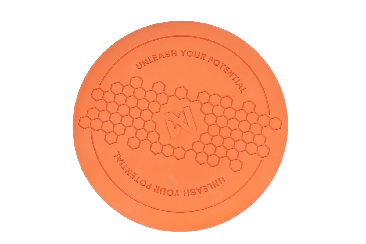 Dog Flying Disc product image 1