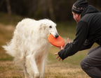 Dog Flying Disc product image 3