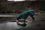 Dog Drying Coat product image 2