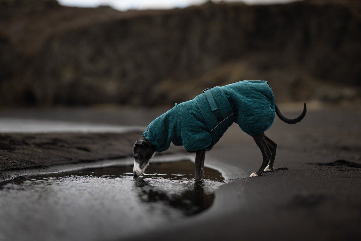 Dog Drying Coat product image 2