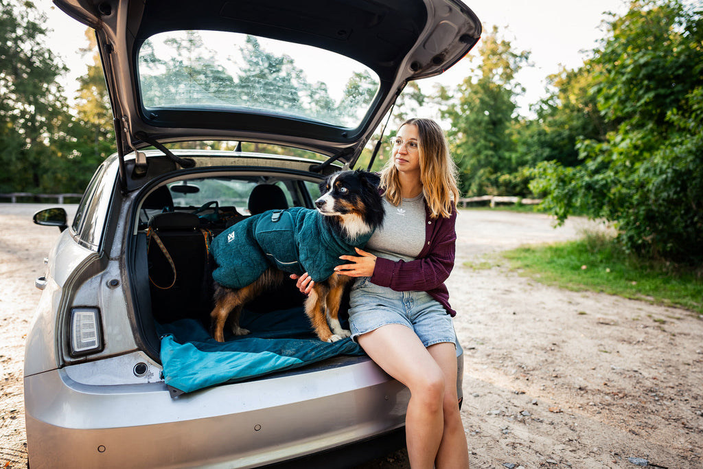 Dog Drying Coat product image 9
