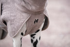Dog Drying Coat product image 11