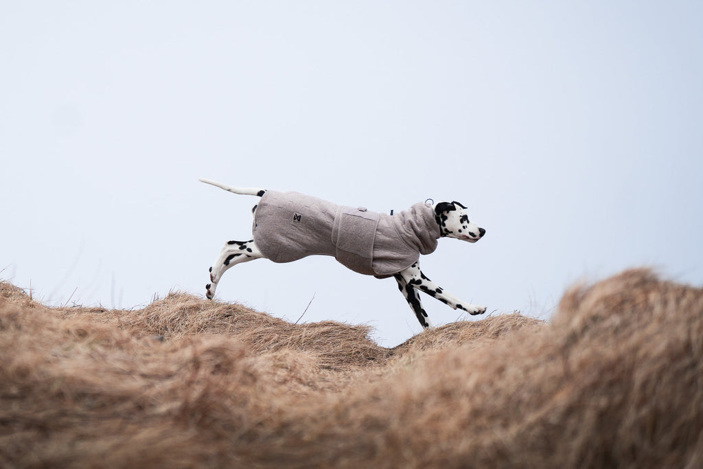 Dog Drying Coat product image 14