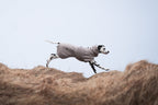 Dog Drying Coat product image 14