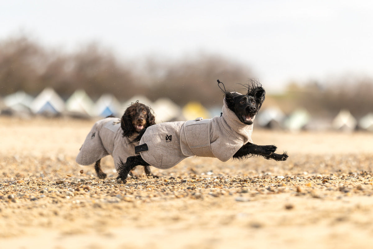 Dog Drying Coat product image 15