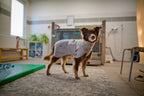 Dog Drying Coat product image 16