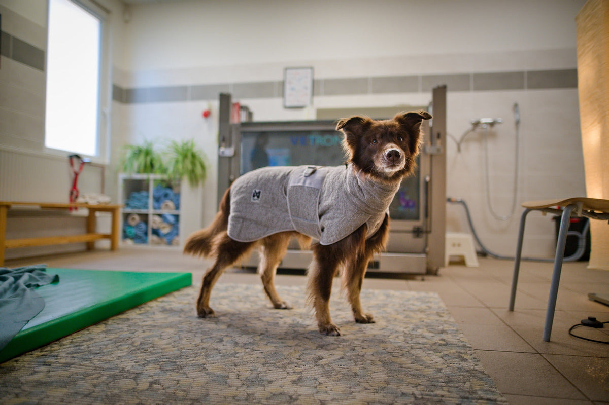 Dog Drying Coat product image 16