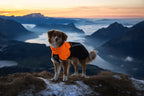 Dog Raincoat product image 6