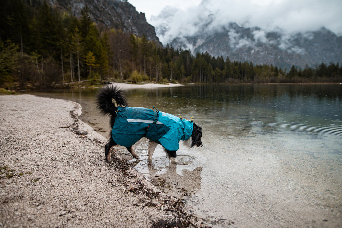 Dog Raincoat product image 7