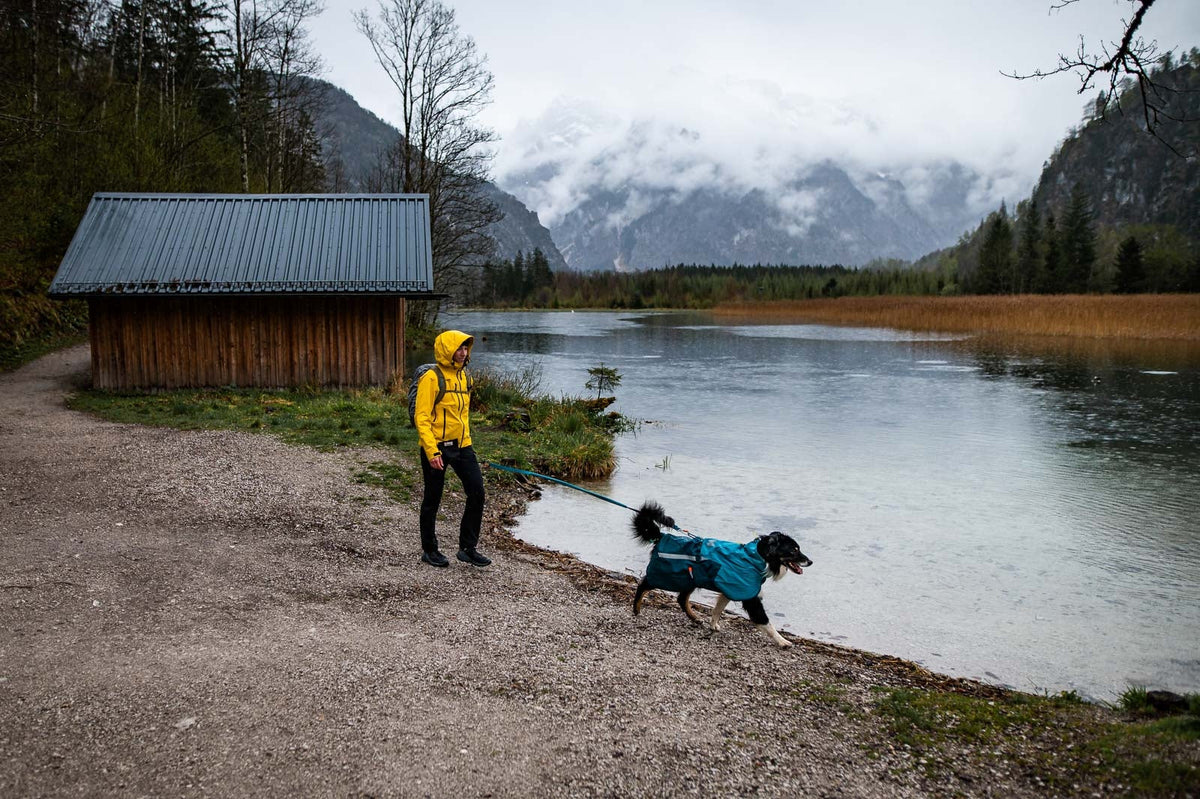 Dog Raincoat product image 8