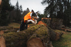 Dog Raincoat product image 12