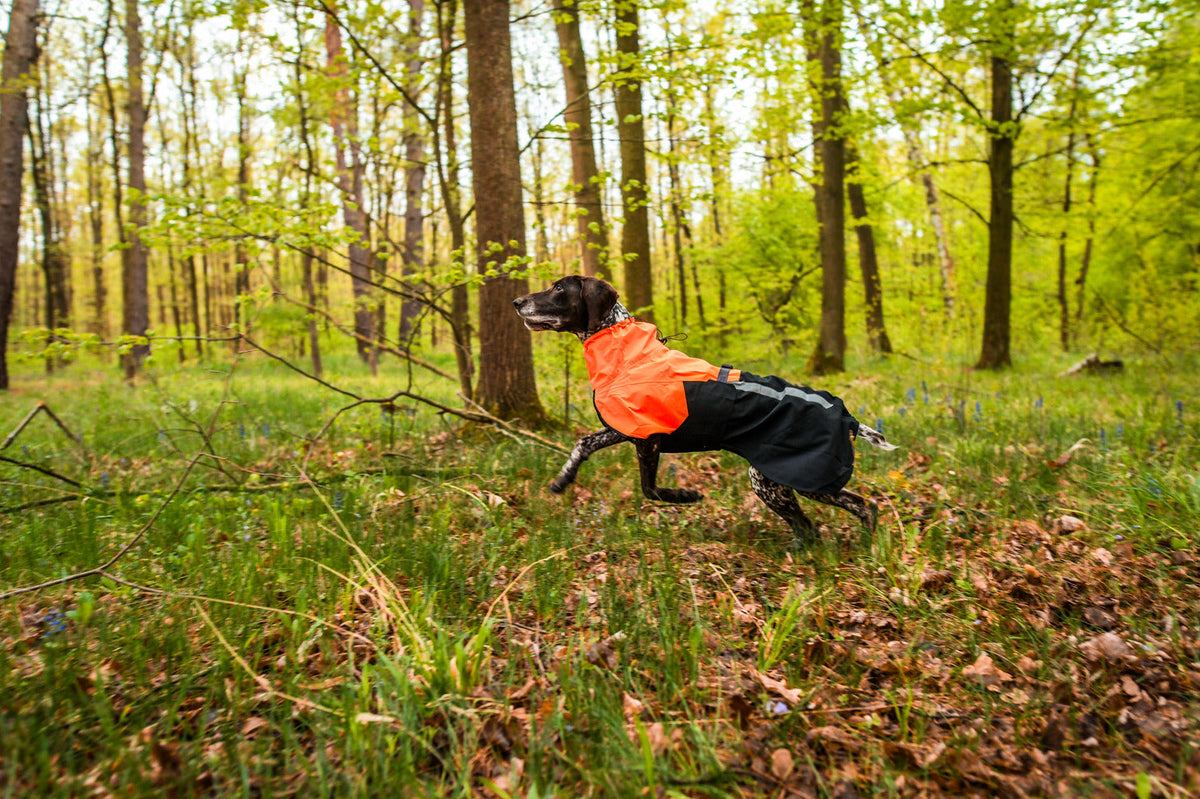 Dog Raincoat product image 13