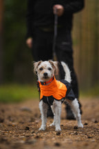 Dog Raincoat product image 14
