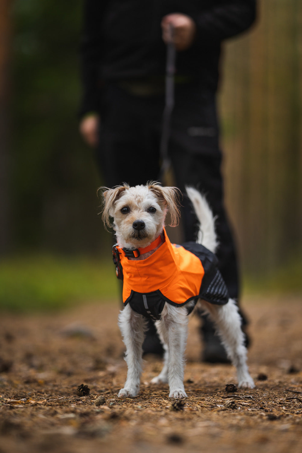 Dog Raincoat product image 14