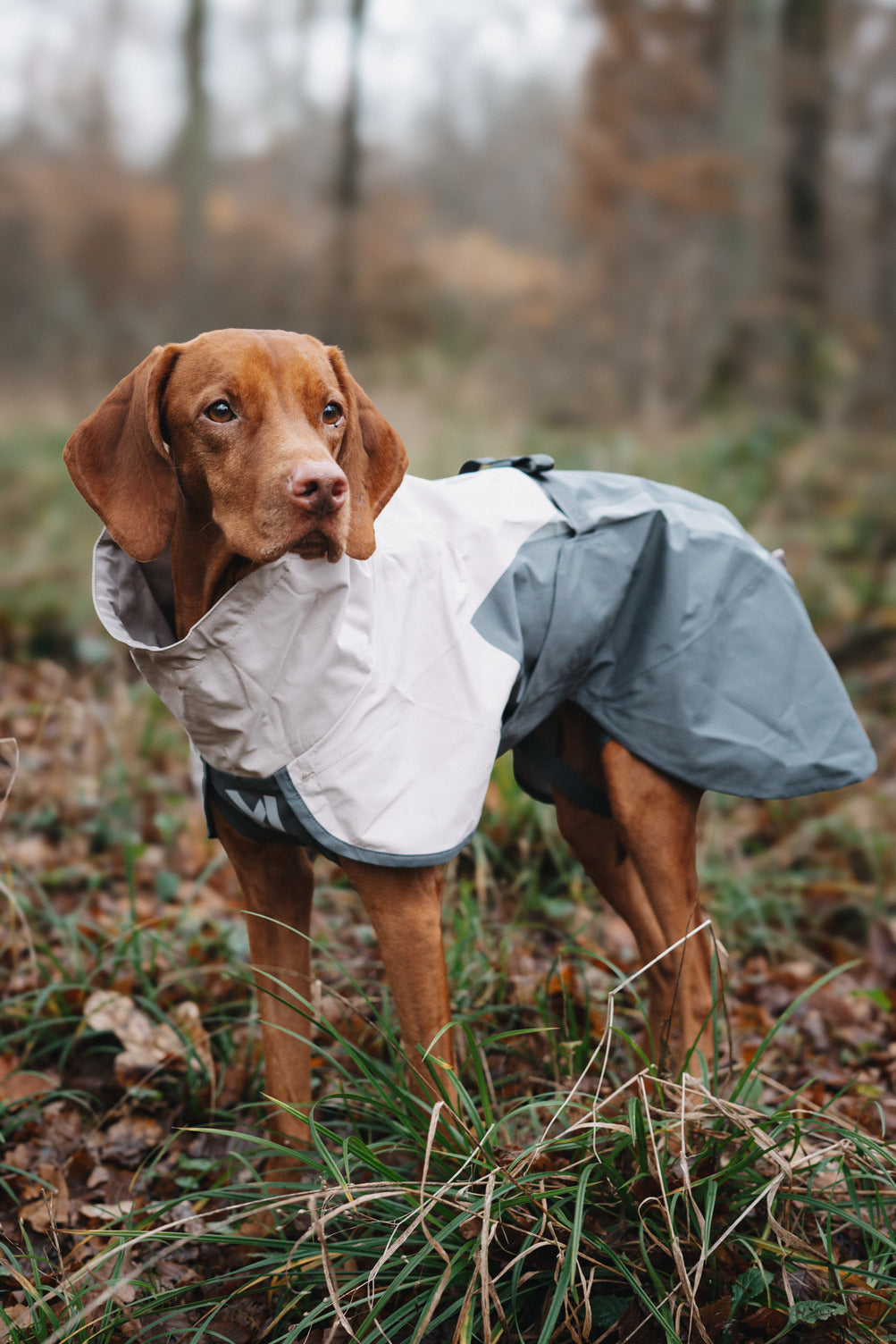 Dog Raincoat product image 16