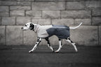 Dog Raincoat product image 18