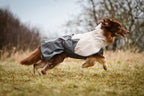 Dog Raincoat product image 19