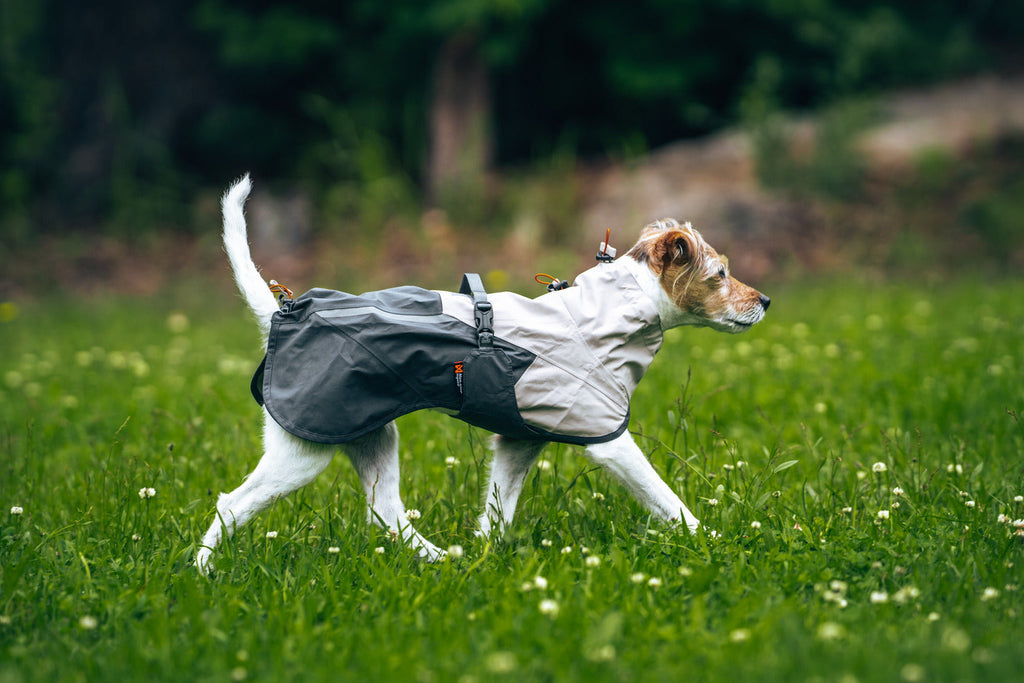Dog Raincoat product image 20