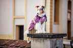 Dog Raincoat product image 22