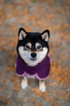 Dog Raincoat product image 25