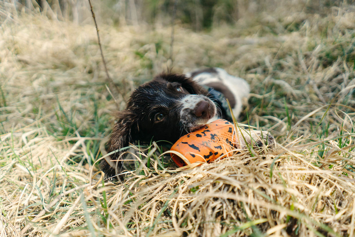 Dog Throw Toy product image 3