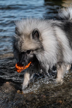 Dog Throw Toy product image 4
