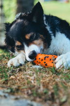 Dog Throw Toy product image 5