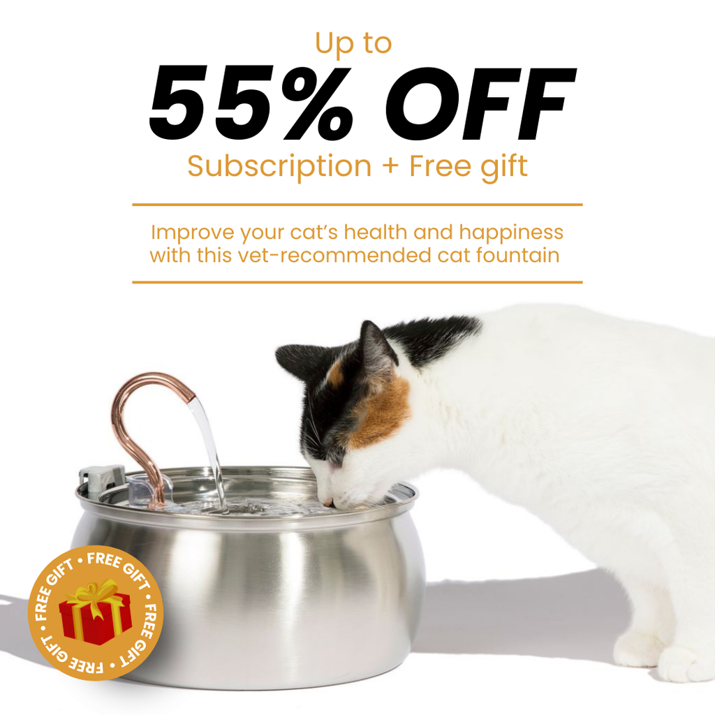 Cat Water Fountain product image 1