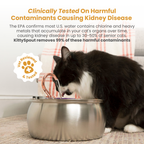 Cat Water Fountain product image 3