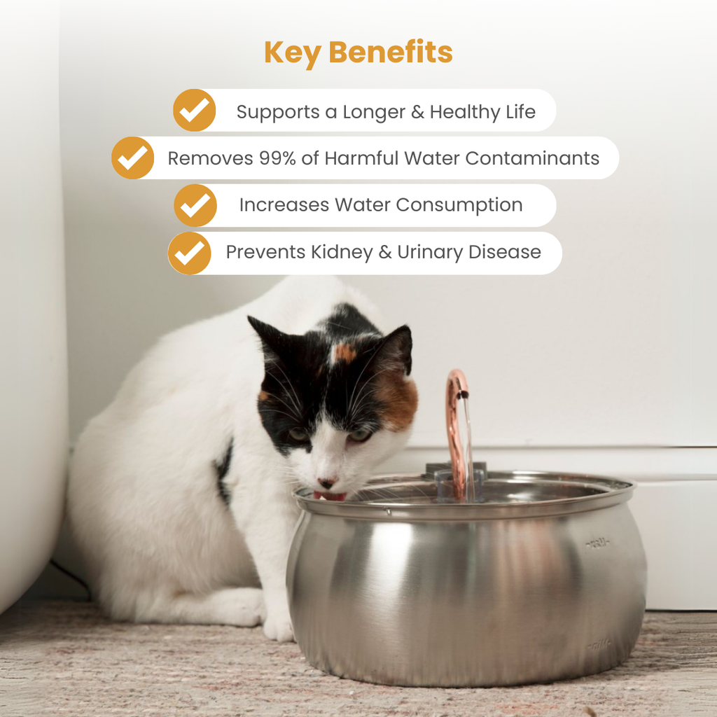Cat Water Fountain product image 5