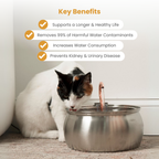 Cat Water Fountain product image 5