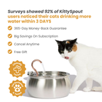 Cat Water Fountain product image 8