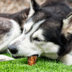 Chicken Jerky product image 2