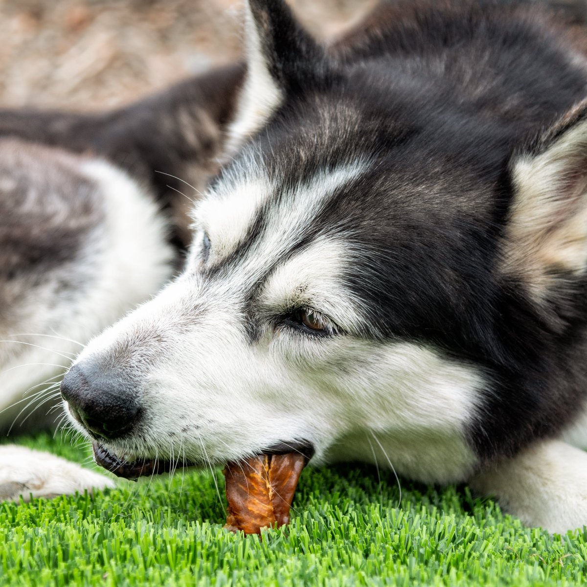 Chicken Jerky product image 2
