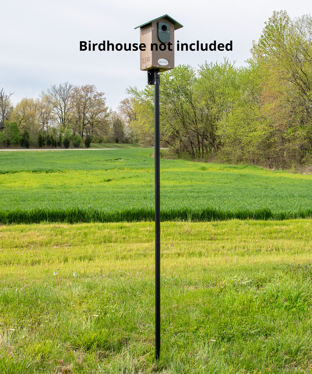 Birdhouse & Feeder Mounting Pole product image 5