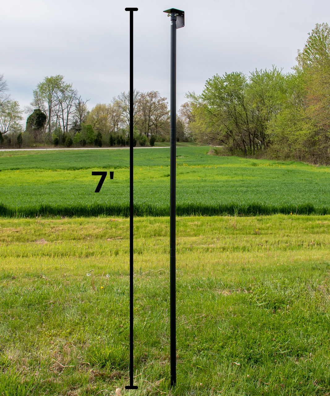 Birdhouse & Feeder Mounting Pole product image 9