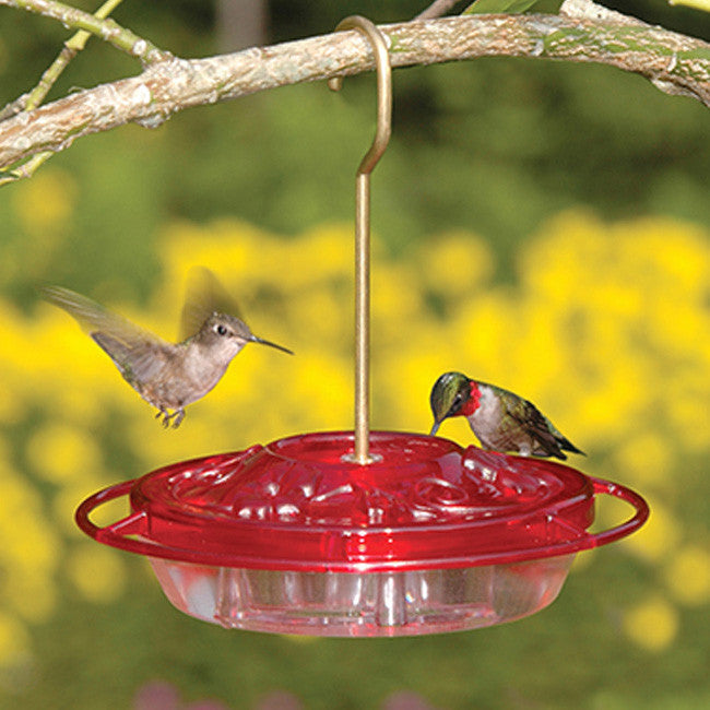 Hummingbird Feeder product image 2