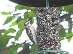 Wild Bird Seed Cylinder product image 2