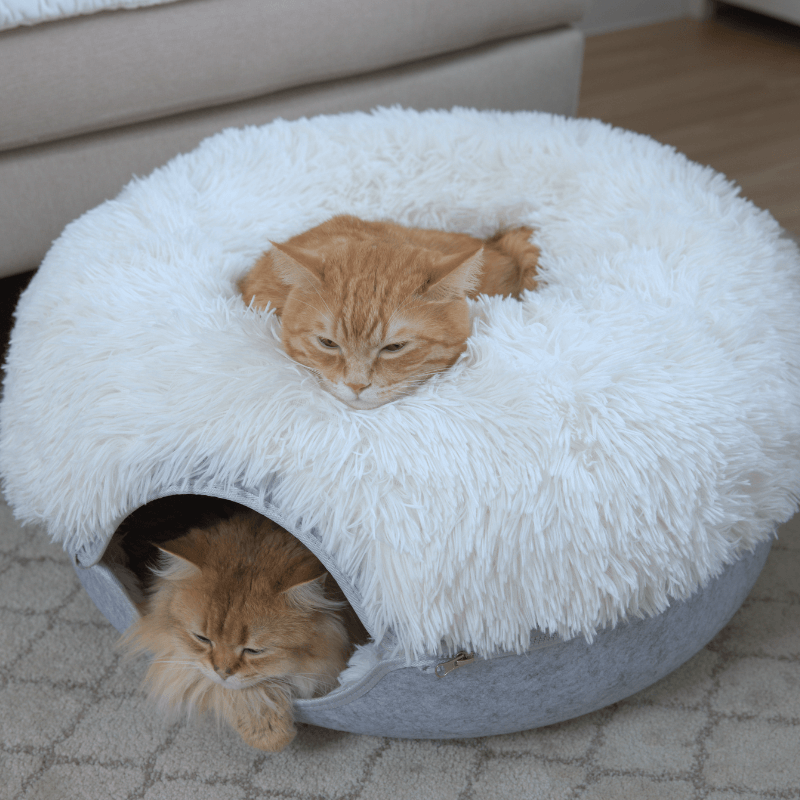 Calming Donut Cat Bed and Cave with Removable Plush Top, Washable Two-Level Hideaway in Large or Jumbo source image 8