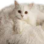 Calming Donut Cat Bed and Cave with Removable Plush Top, Washable Two-Level Hideaway in Large or Jumbo source image 13