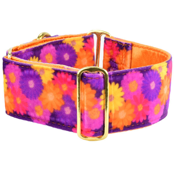 Martingale Dog Collar product image 1