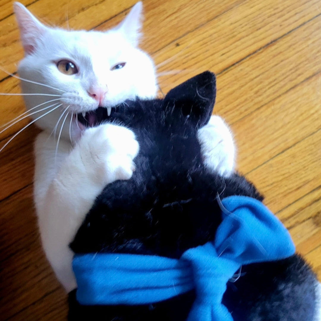 Interactive Wearable Cat Wrestler Toy product image 3