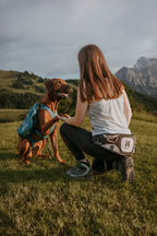 Hands-Free Dog Belt product image 2
