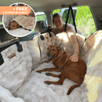 Dog Backseat Protector product image 1