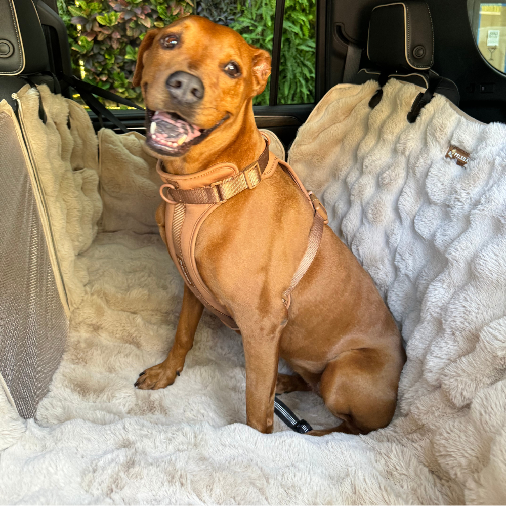 Dog Backseat Protector product image 2