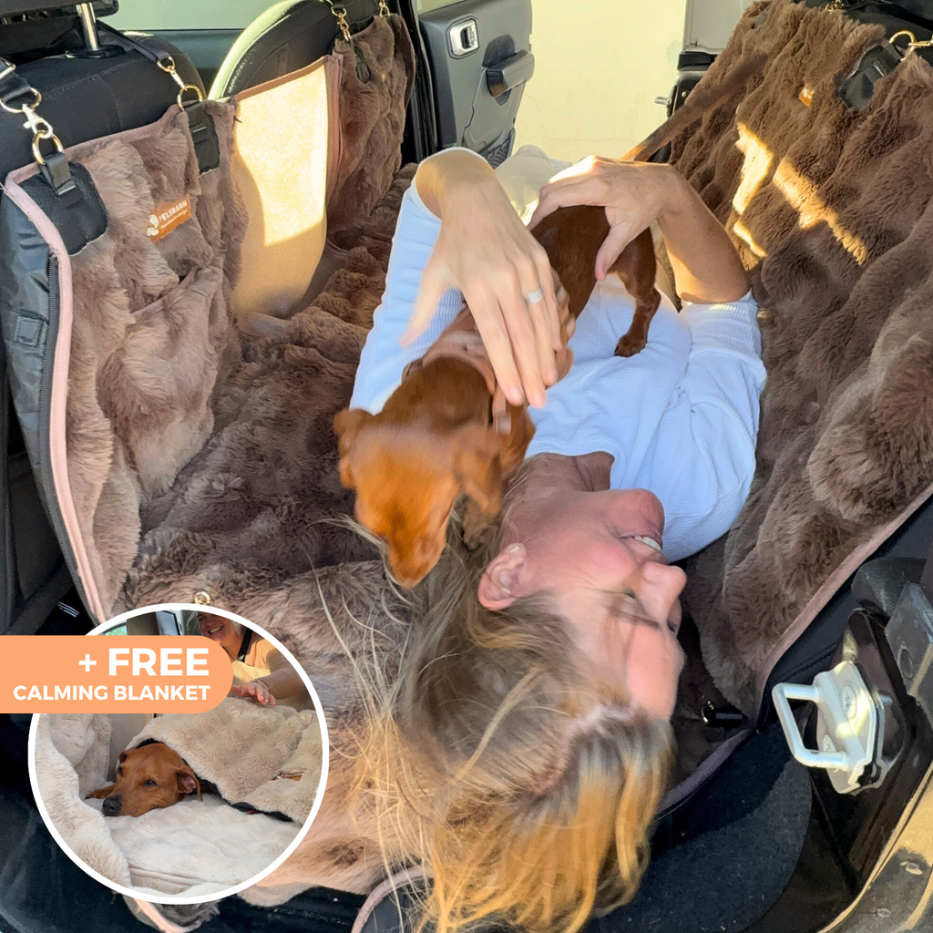 Dog Backseat Protector product image 6
