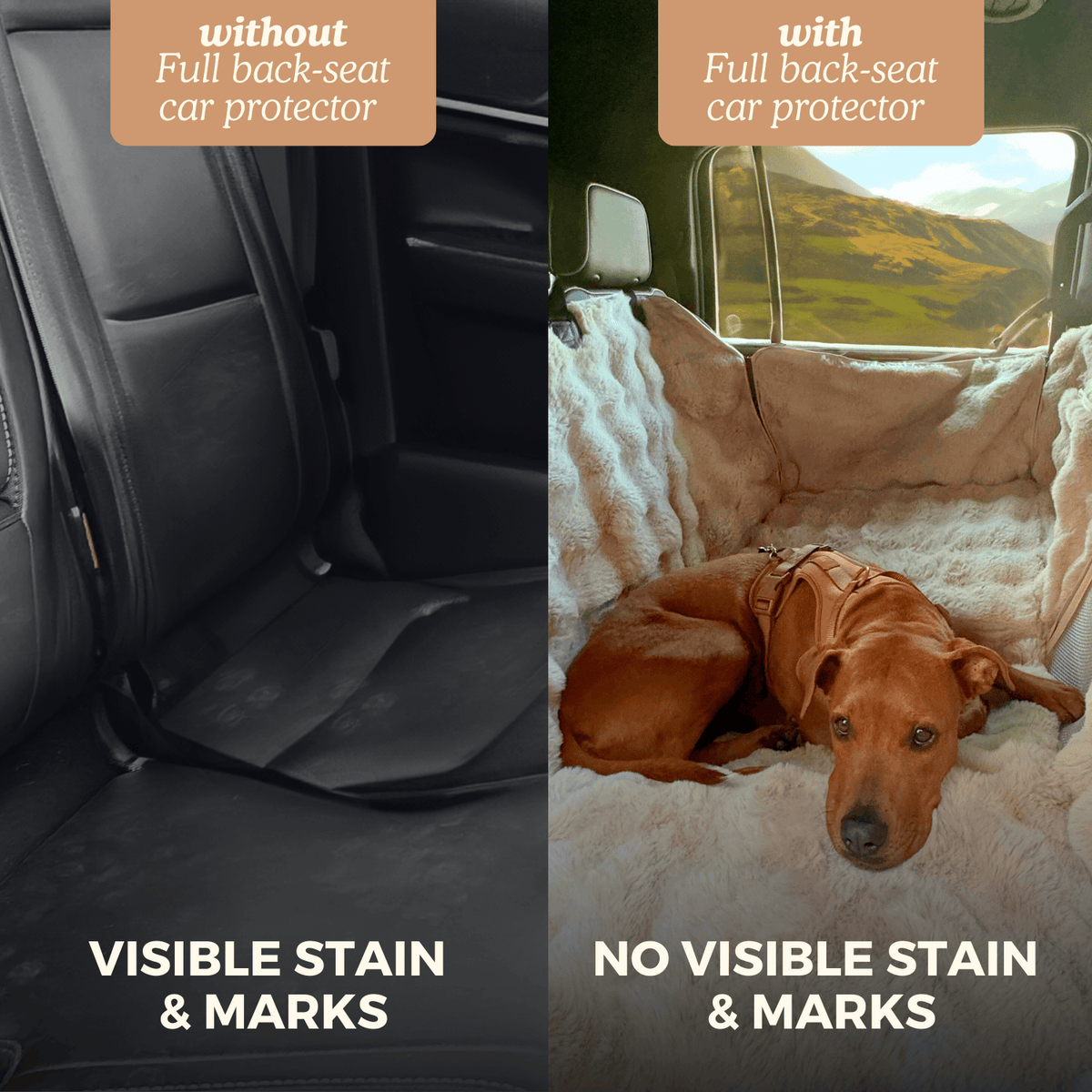 Dog Backseat Protector product image 7