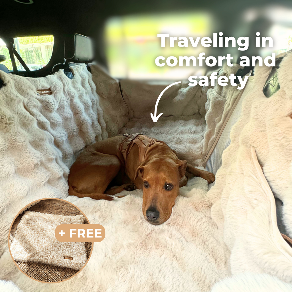 Dog Backseat Protector product image 11