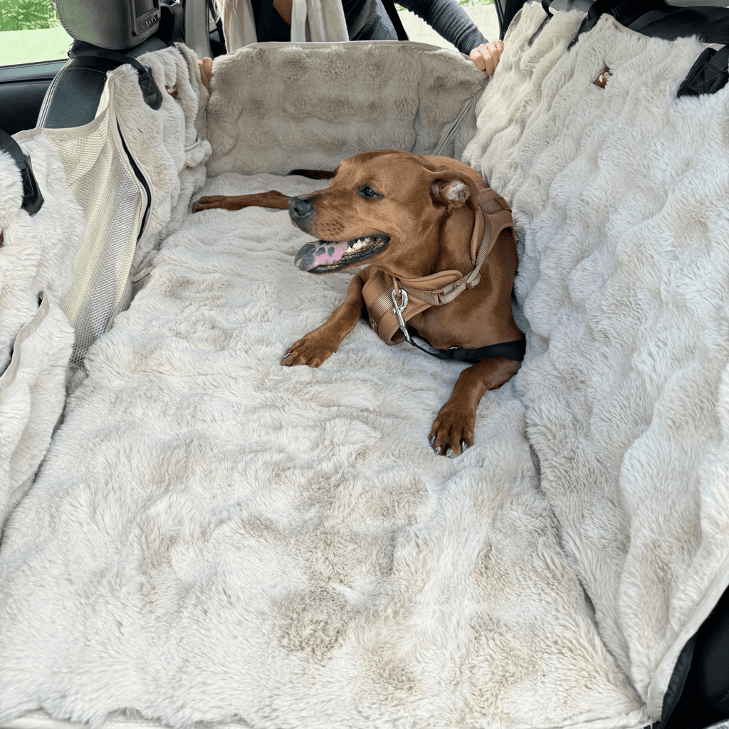 Dog Backseat Protector product image 15