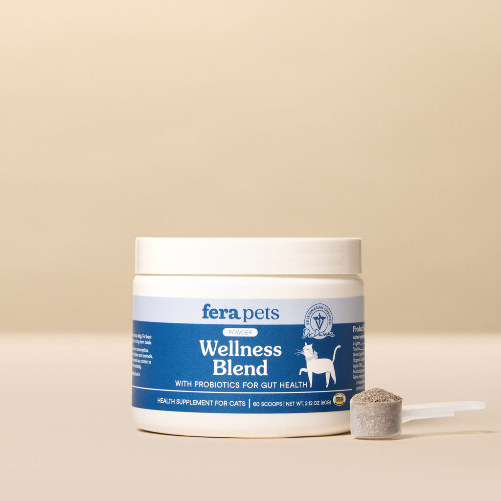 Cat Wellness Supplement product image 1